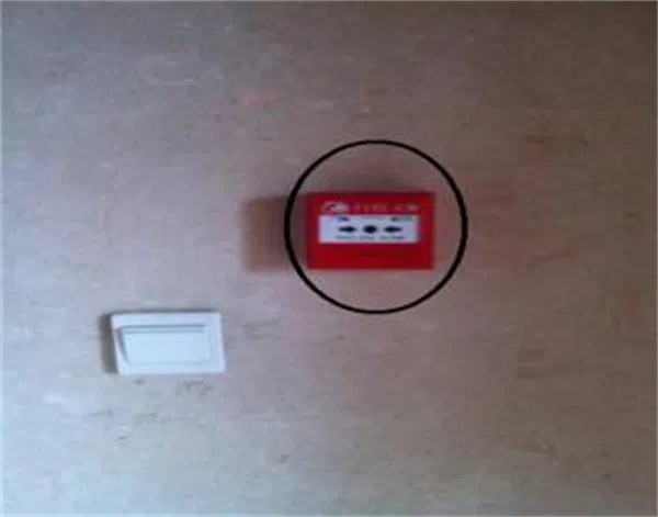 16.webp