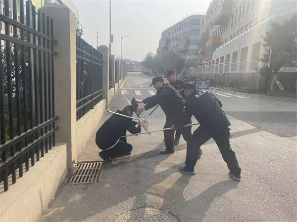 山东保安公司