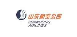山东保安公司